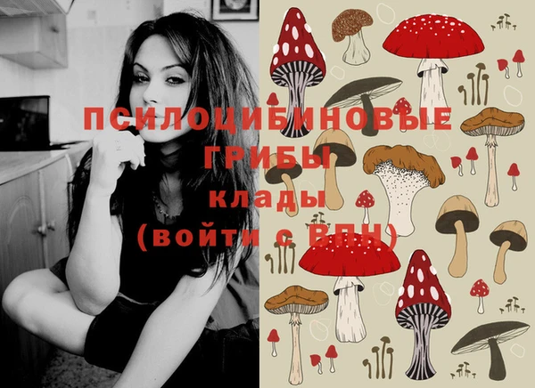 стафф Аркадак