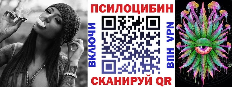 Псилоцибиновые грибы Psilocybe  закладки  Красный Кут 
